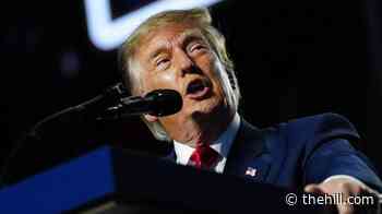 Trump says $5K dividend checks to Americans will 'happen 100 percent'