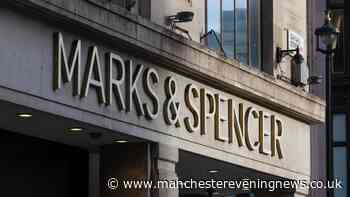 Harry Potter fans race to Marks and Spencer for 'spellbinding' light-up Christmas decoration