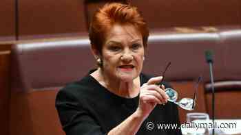One Nation's immigration plan would leave key industries 'decimated' and worsen shortages, Labor warns