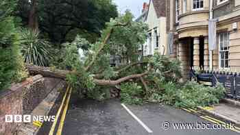 Fallen tree from cathedral grounds blocks road