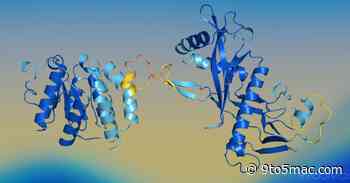 Apple researchers unveil SimpleDesign, a new AI model for protein design