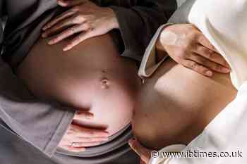 'Do I Even Have a Right to Know?': US Surrogate Sought Billionaire Five Times Before 100+ Child Shock