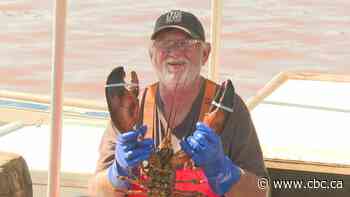 Lobster fishing contest in memory of P.E.I. teen sees record turnout