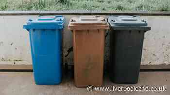 Binman urges households to stop placing 3 items in recycling to ensure waste is collected