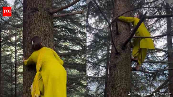 Pooja Guleria’s Viral Tree Climb: Video on X wows viewers; stunt’s risks spark debate