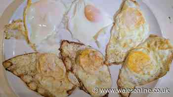 I compared fried eggs cooked in oil, butter and water — one was the crispiest