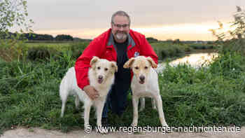 Eishockeyfamilie sucht Zuhause f?r 200 Stra?enhunde