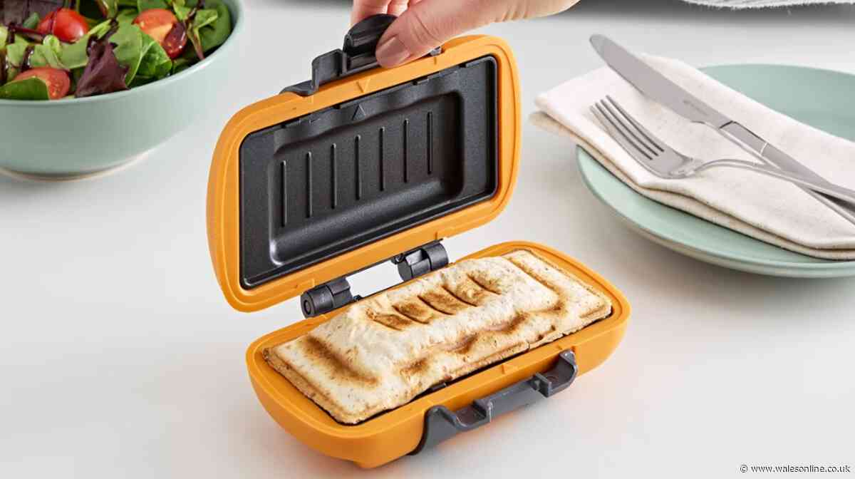 Shoppers swap air fryer for £12 gadget that makes 'quick and crispy' wraps
