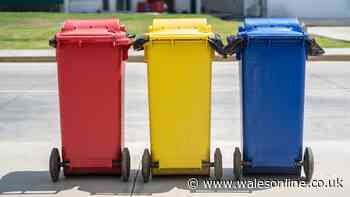 Binman cautions rubbish 'won't be taken away' if 3 items are found in recycling