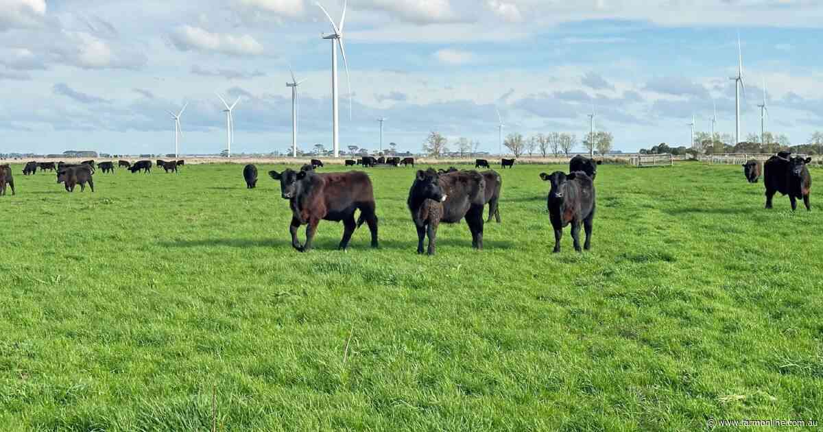 Victoria's Mortlake becomes a hotspot for the sale of big farm portfolios