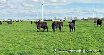 Victoria's Mortlake becomes a hotspot for the sale of big farm portfolios
