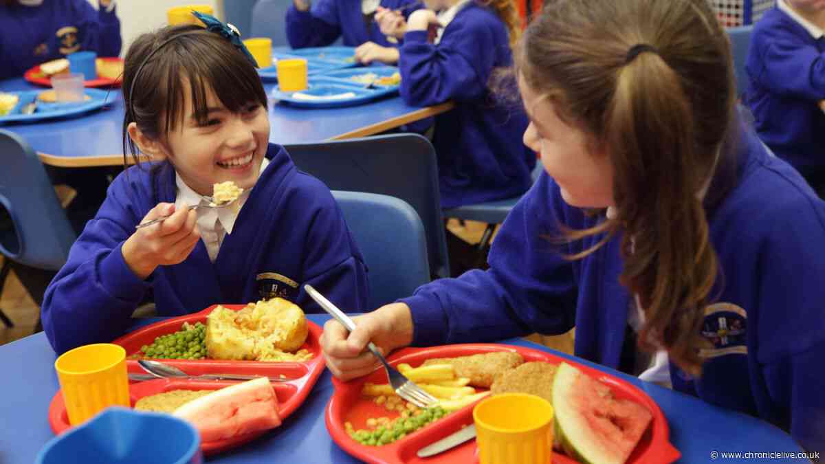 Popular foods banned from school dinners in major rule change