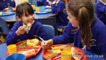 Popular foods banned from school dinners in major rule change