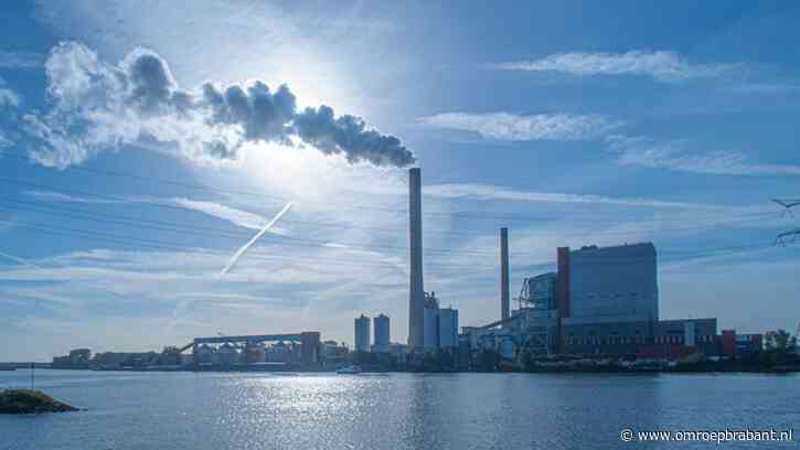 Milieuorganisatie sleept overheid voor de rechter om hout bij Amercentrale