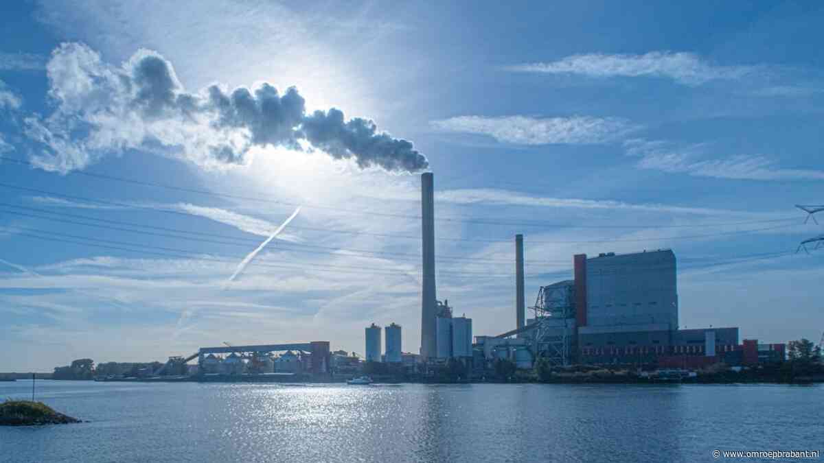 Milieuorganisatie sleept overheid voor de rechter om hout bij Amercentrale