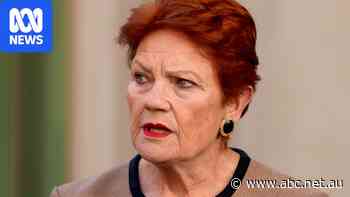 Hanson swiftly condemned for labelling Indigenous Australians 'primitive race'