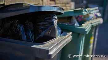 Rubbish 'won't be taken away' if 3 common items are placed in recycling bin
