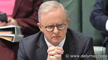 Anthony Albanese under fire over $6.05million grant to golf club 200 metres away from his investment property in trendy Sydney suburb