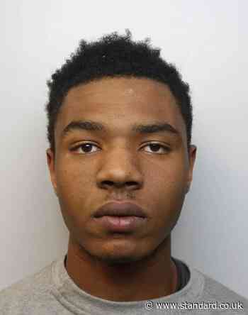 Teenager jailed after robbing man’s gold necklace at central London Tube station