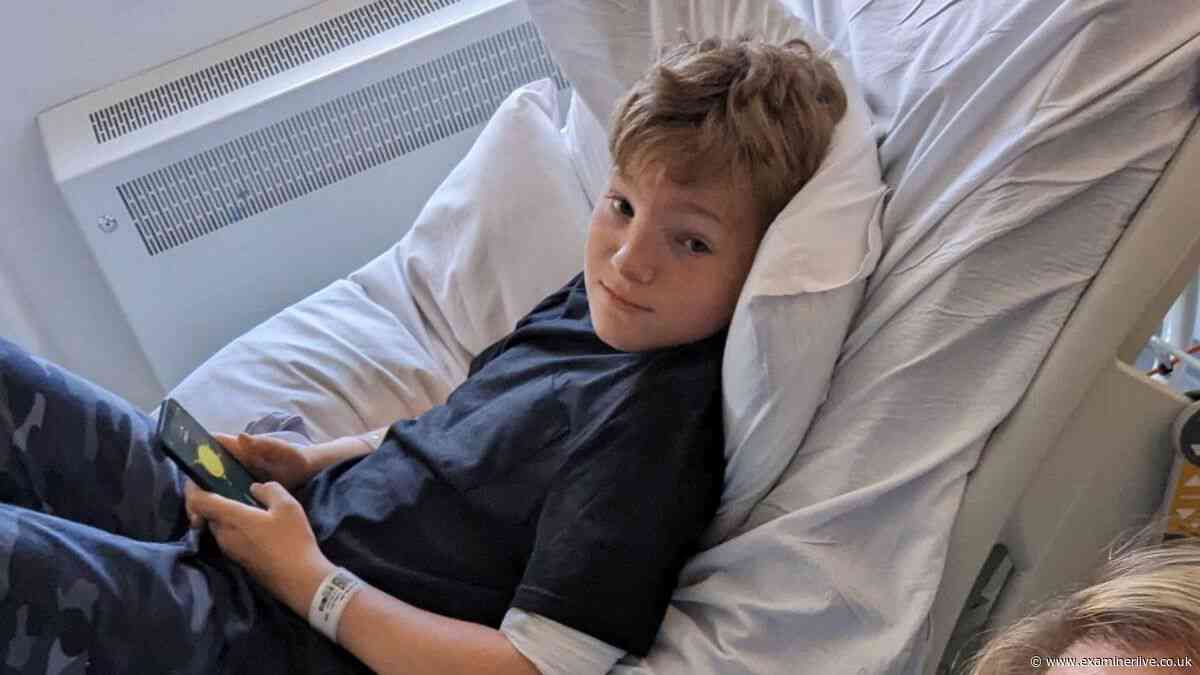 'We thought it was hay fever' - Boy dies after going to GP with swollen nose