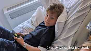 'We thought it was hay fever' - Boy dies after going to GP with swollen nose