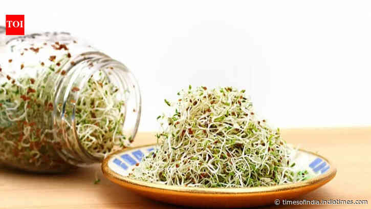 Stop buying packaged sprouts: How to make fresh moong and chana sprouts in your kitchen