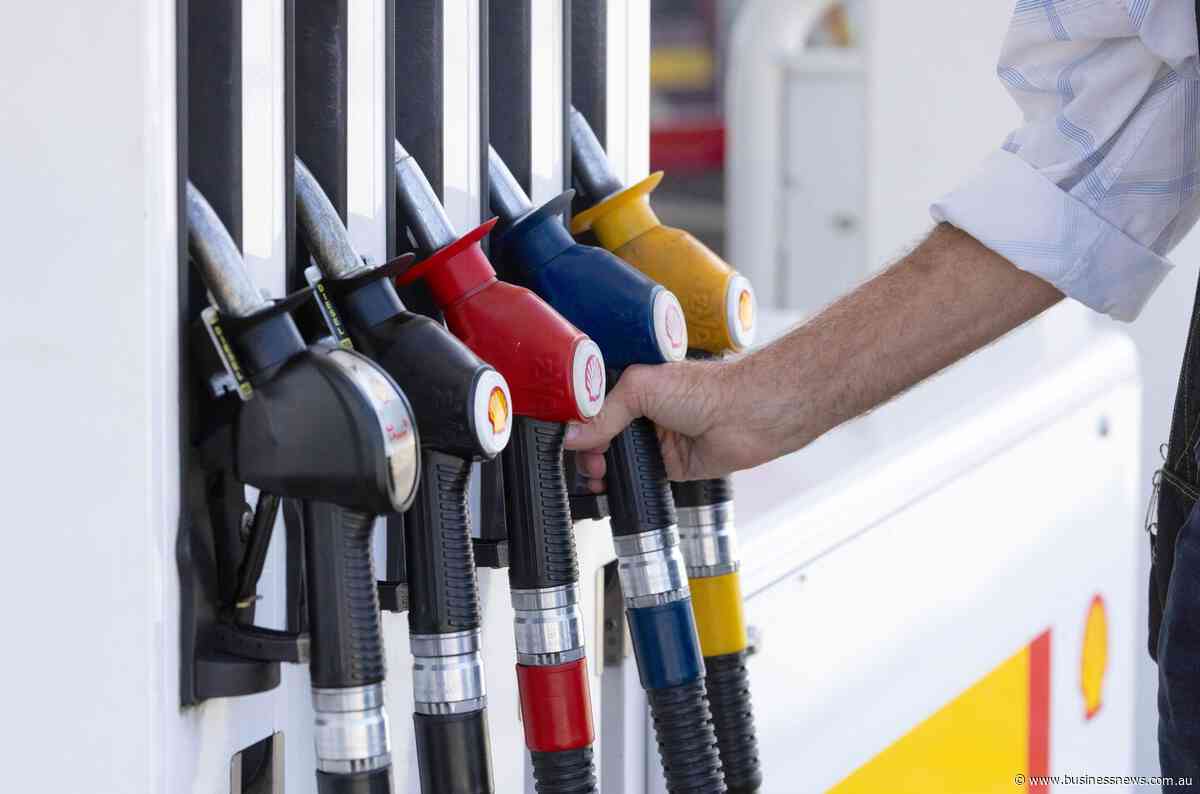 Govt dodges talk of further fuel excise relief