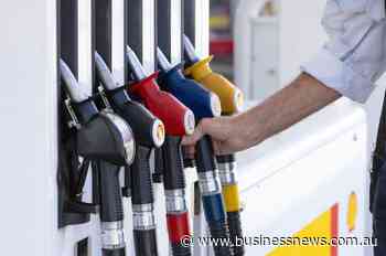 Govt dodges talk of further fuel excise relief