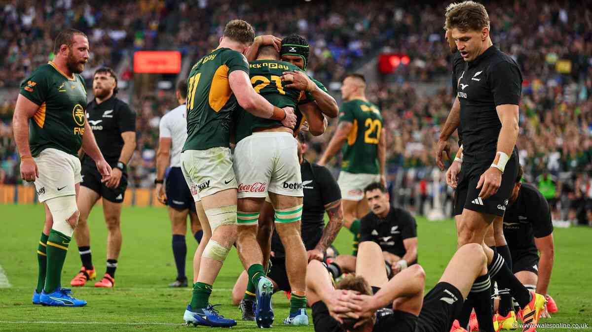 All Blacks accuse Springboks TV broadcaster of influencing officials