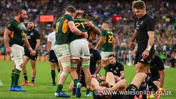All Blacks accuse Springboks TV broadcaster of influencing officials