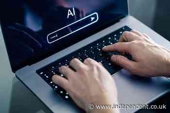 MPs and peers call for new law to curb AI’s risk to human rights and privacy