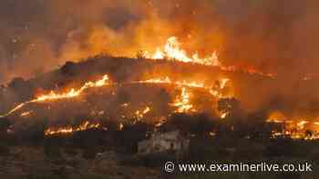 Spain wildfire as Costa del Sol blaze injures three and forces evacuations