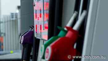 Fuel price blowout piles pressure on Albanese for second excise cut