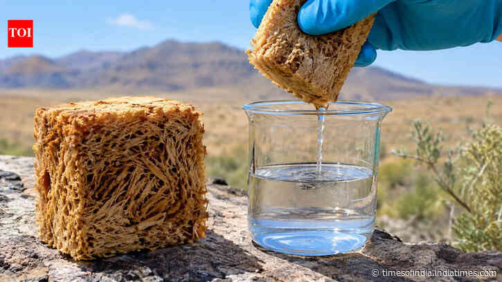 Scientists built a sponge pulling water from dry air; yields 1.72L per kg/day