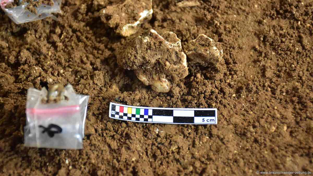 Forscher erstaunt über gefährliche Steinzeit-Droge: Sie ist heute noch beliebt