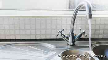 Natural item to put in your kitchen sink to deep clean drains — not vinegar or soda