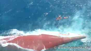 Indonesien: Suche nach Vermissten in Wrack von Fähre