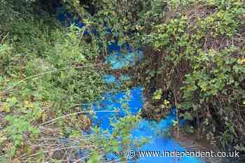 ‘Do not swim’ warning issued after pollutant turns river bright blue