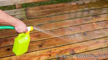 All Brits urged to spray white vinegar on patios until the end of October
