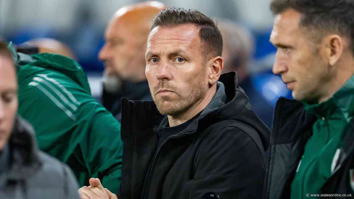 Cardiff City star set for maiden Wales call-up as Bellamy sweats on injuries