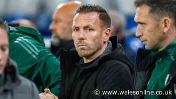 Cardiff City star set for maiden Wales call-up as Bellamy sweats on injuries