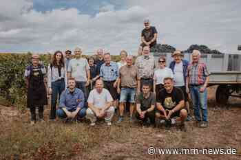 Rhein-Pfalz-Kreis – Abschied und Neubeginn im Landratswingert – Letzte Weinlese in Kleinniedesheim