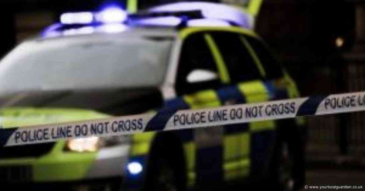 Croydon rape trial: Woman recalls moment man 'tried to assault intoxicated friend'
