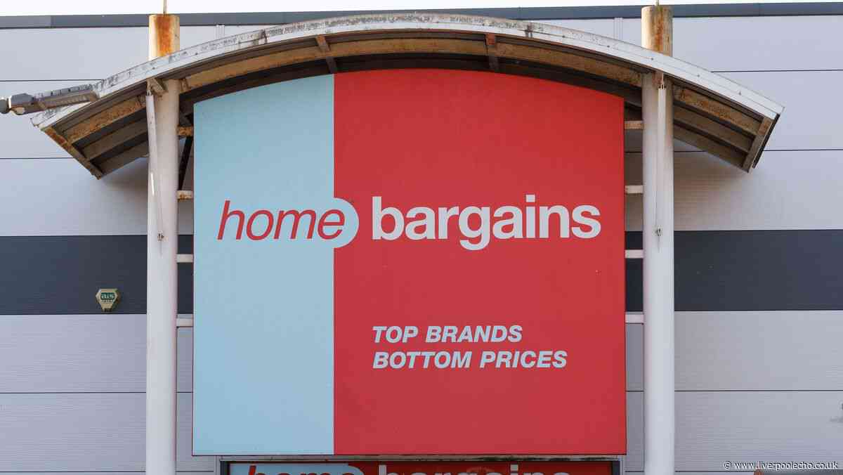 Home Bargains £30 'eye catching' Christmas decoration is ideal for hallways, living rooms and porches