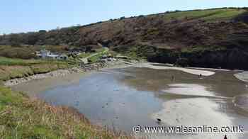 Sauna plans revealed at secluded Welsh beach