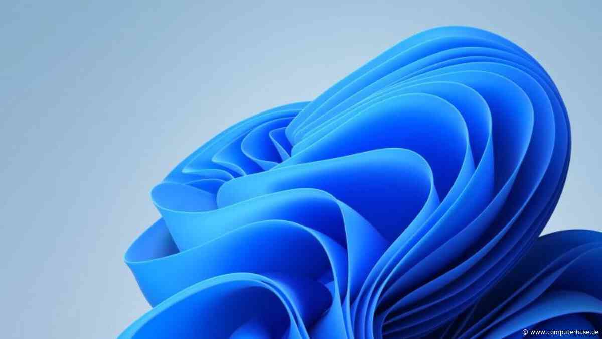 Kontenzwang bei Windows 11: Setup-Lücke ermöglicht Installation mit lokalem Konto