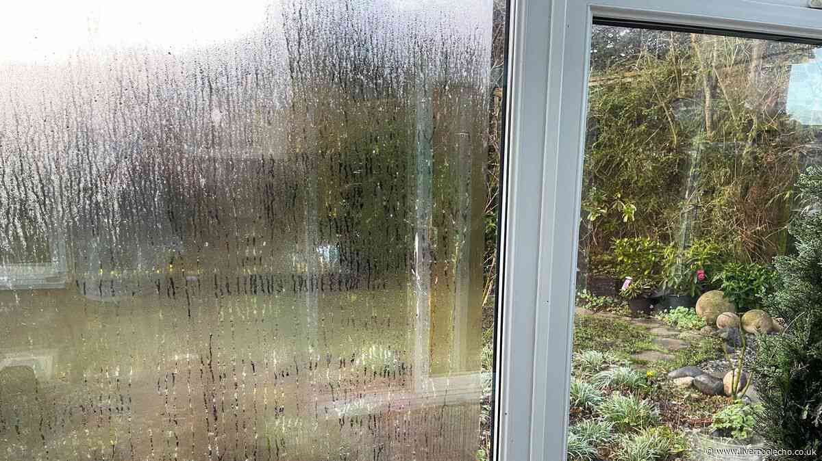 Condensation will be banished from windows if you use unexpected item Mrs Hinch fans love