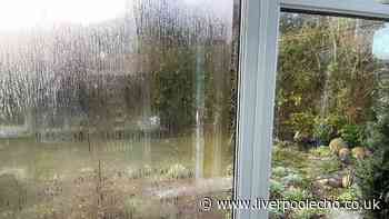 Condensation will be banished from windows if you use unexpected item Mrs Hinch fans love
