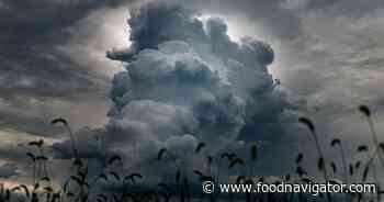 Is food investing enough in climate adaptation?