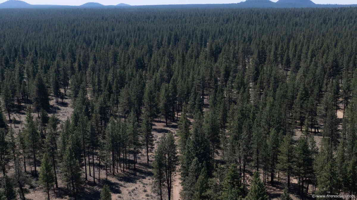U.S. Forest Service to close 23 research stations in agency overhaul